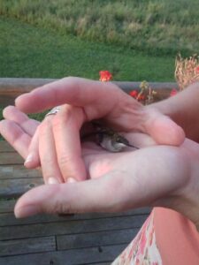 Google Case Study: Is it Beautiful? Image